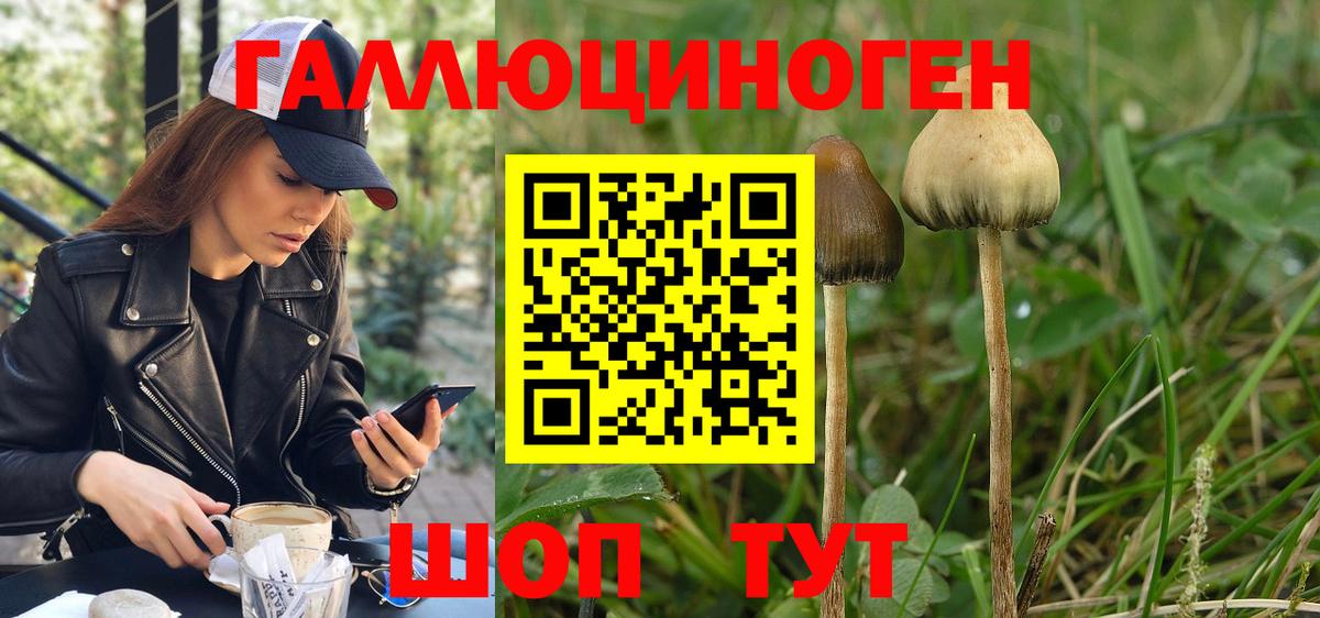 Владимир  Псилоцибиновые грибы мухоморы  Вход с VPN  Галлюциногенные грибы прущие грибы 